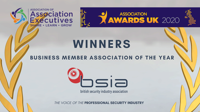 BSIA Win Business Member Association Of The Year