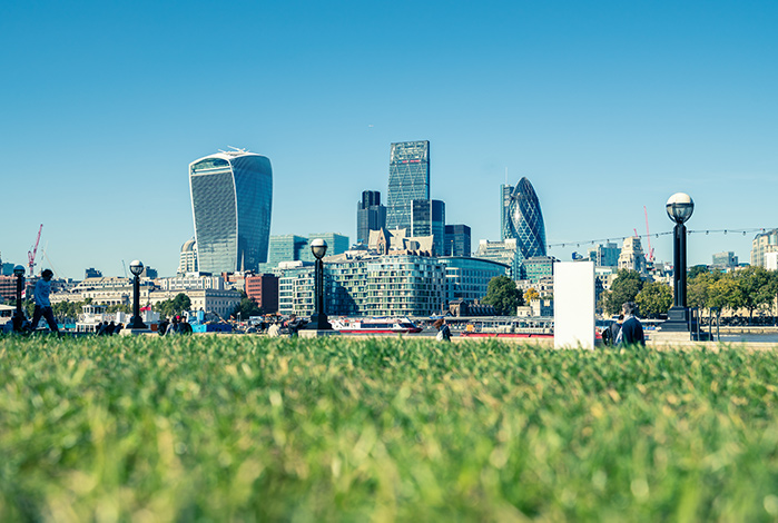 London skyline viewed from grass in park