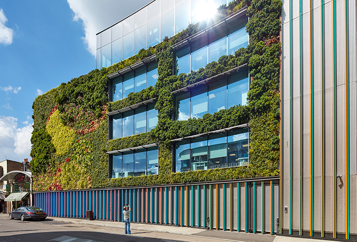 A living wall covering the outside of a building