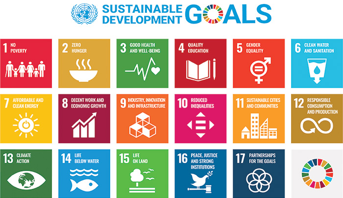 The 17 sustainable development goals