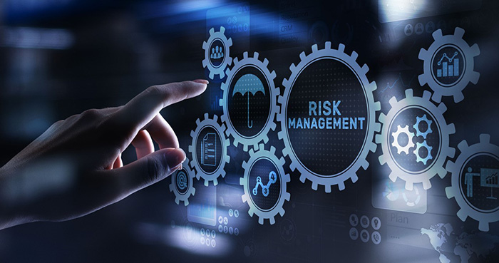 A Risk Management graphic