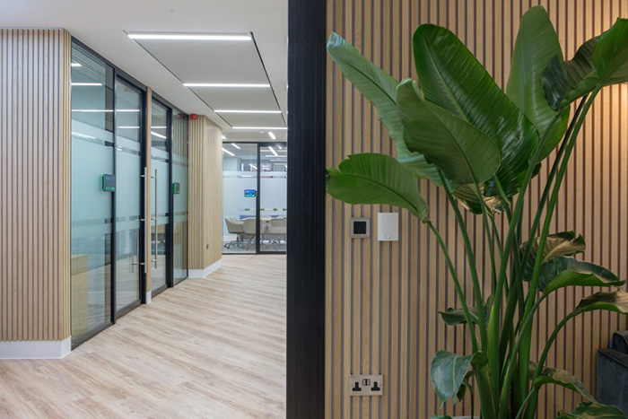 plants in the office and corridors